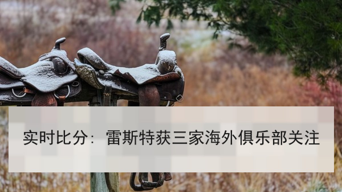 实时比分: 雷斯特获三家海外俱乐部关注 实时比分: 雷斯特获三家海外俱乐部关注